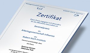 Zertifikat (wirsinds / Harztor-Praxis)